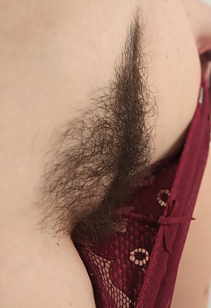 Hairy Pussy Porn Pictures